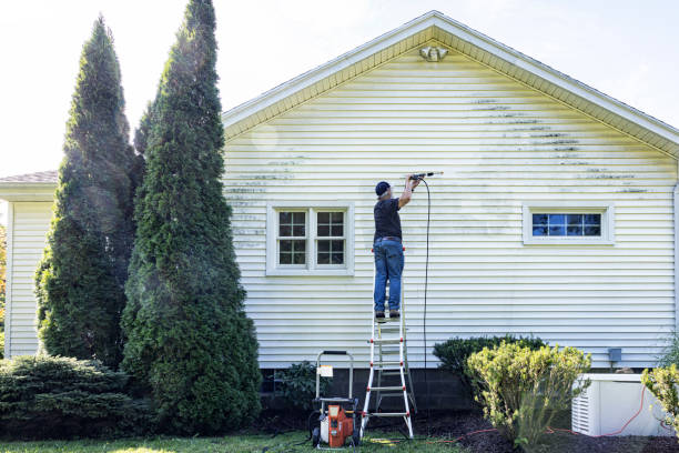Best Local Pressure Washing Services  in Mart, TX